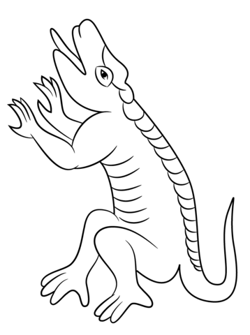 Cuetzpalin Lizzard Coloring Page